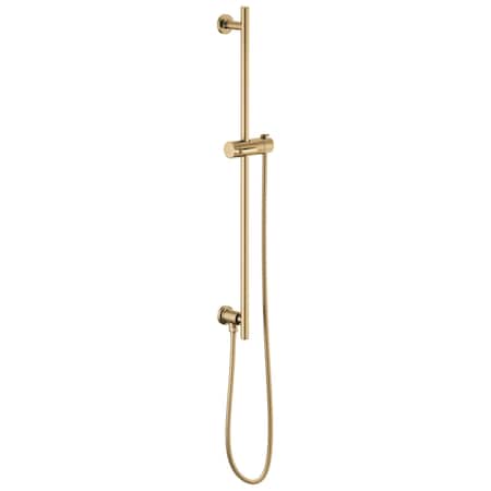 Brizo Universal Showering Linear Round Slide Bar With Hose 74792-GL